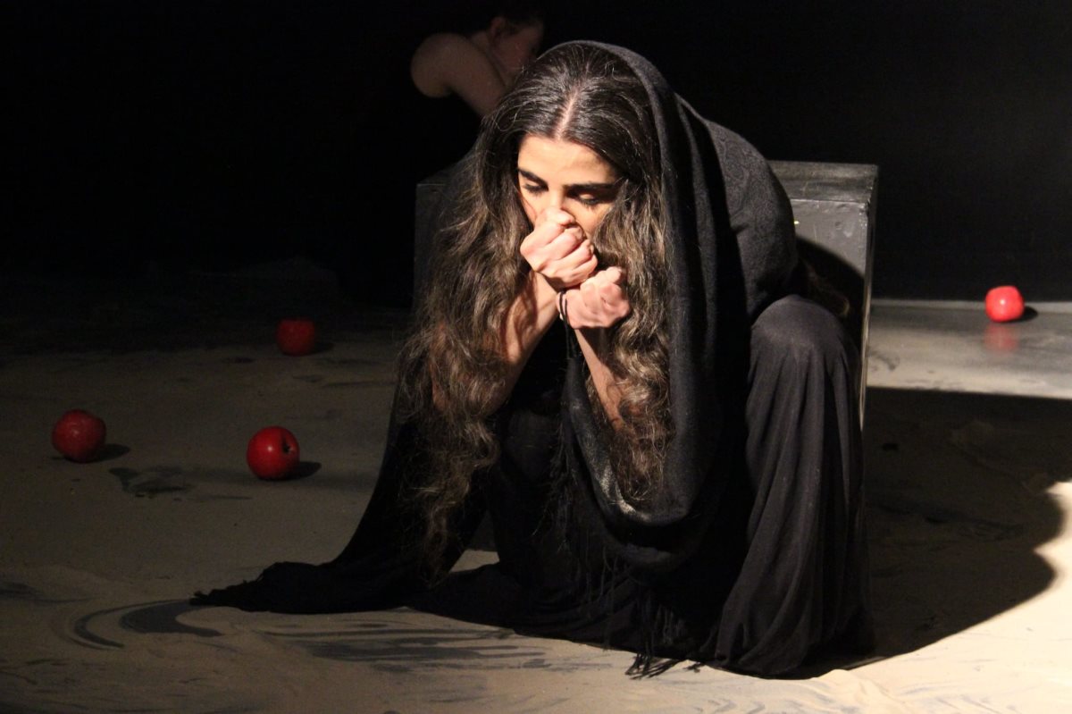 צילום: שחר זגורי