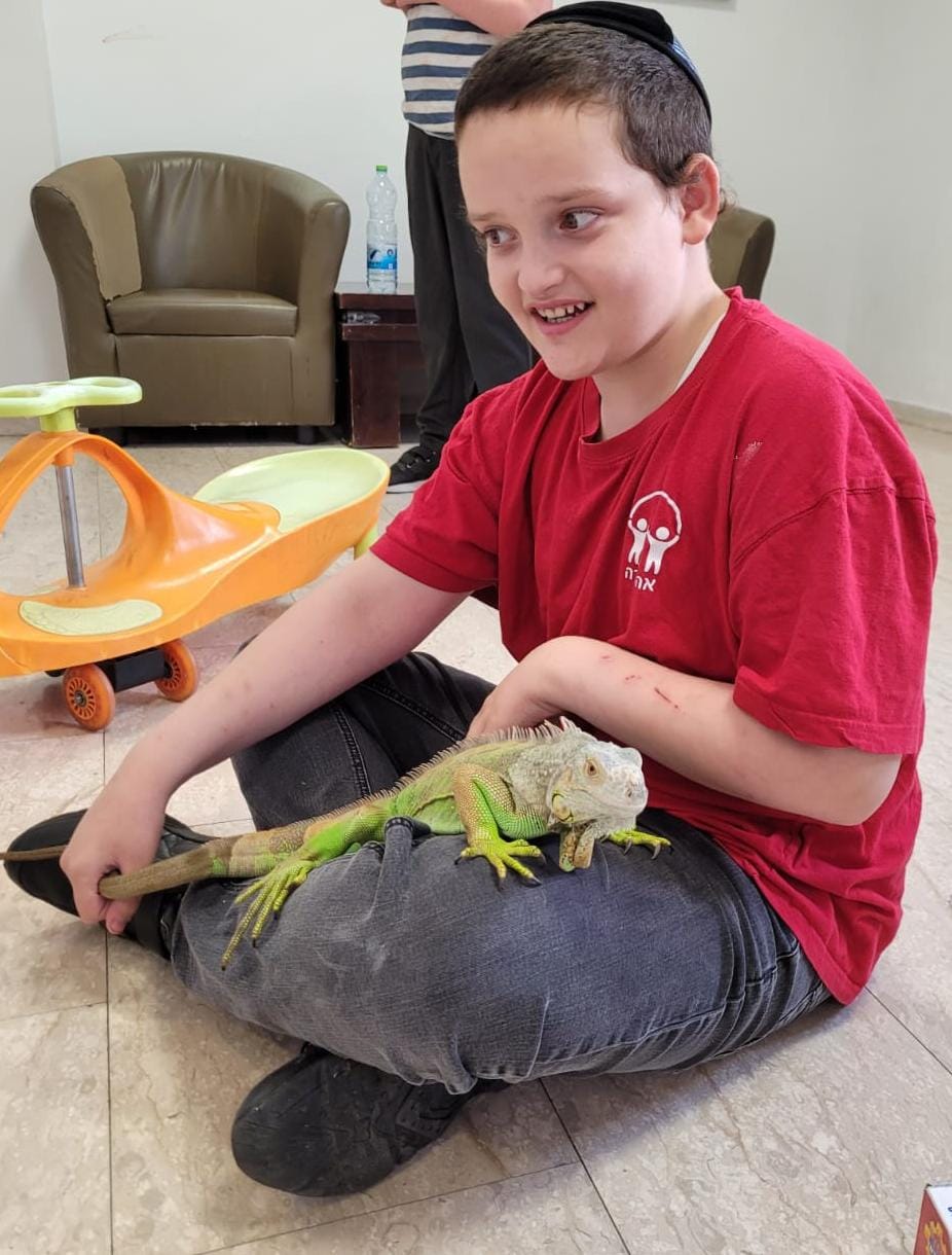 צילום: דוברות המשטרה