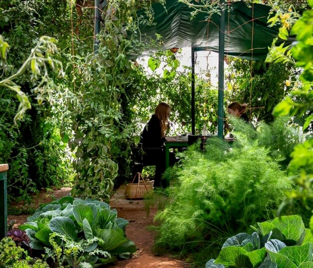 טו בשבט גן הירק בצופר בערבה התיכונה. צילום- לינוי ודרור