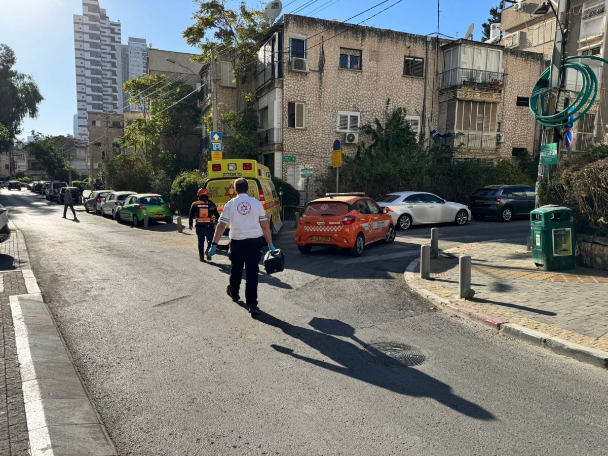 צילום: איחוד הצלה און ליין