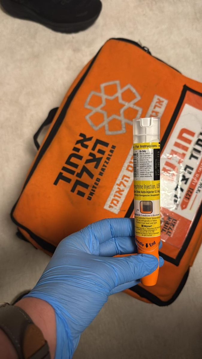 צילום: איחוד הצלה און ליין