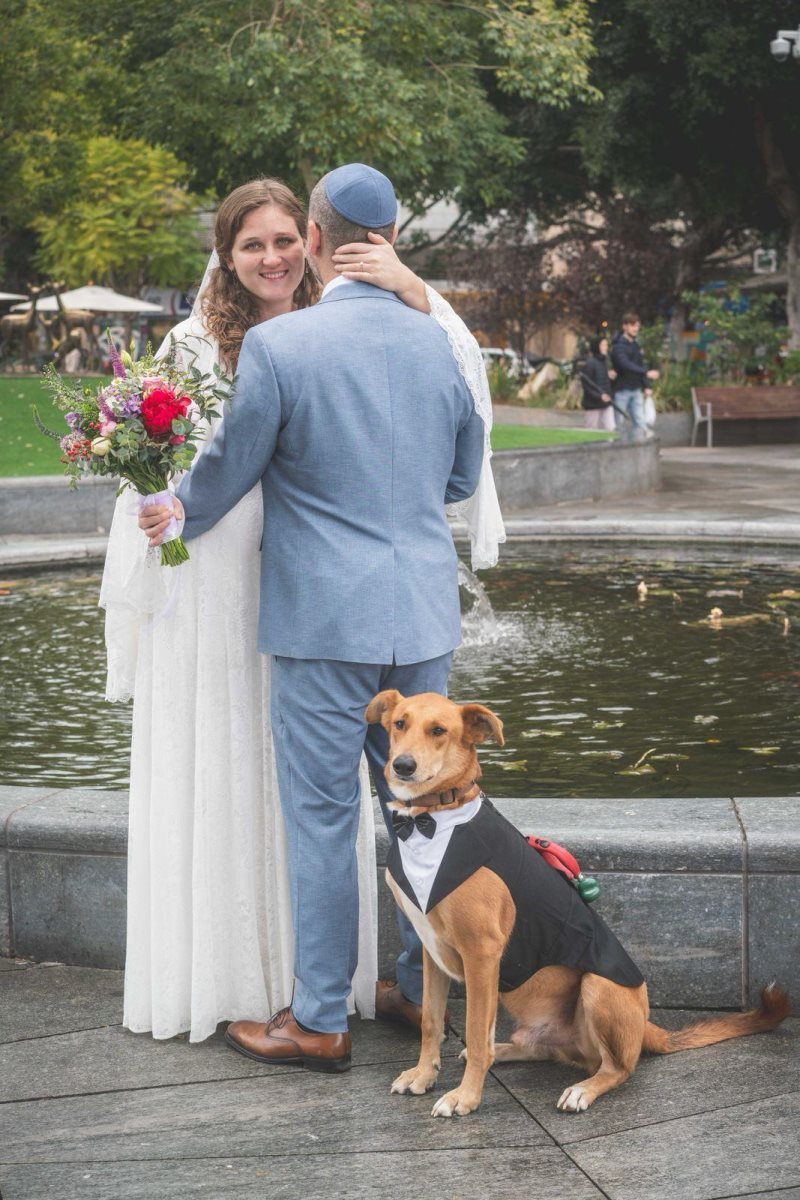 צילום: אילן ספירא