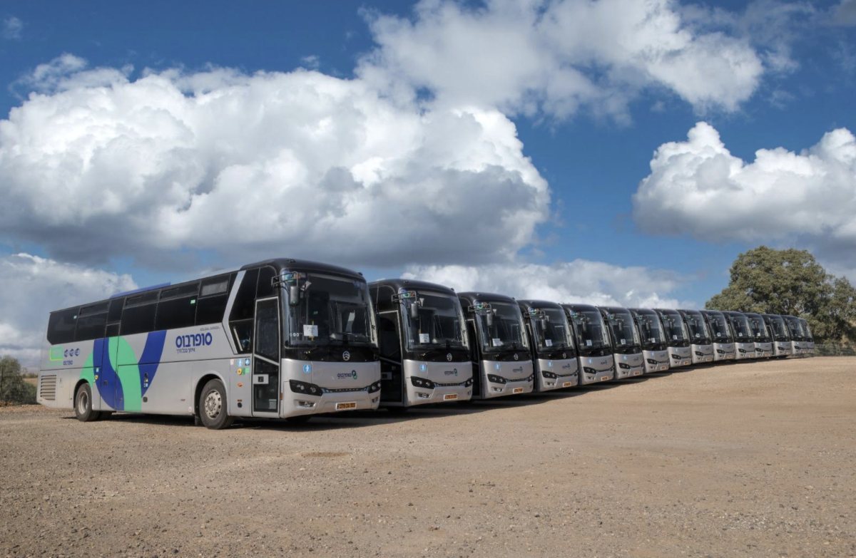 צילום: רונן טופלברג