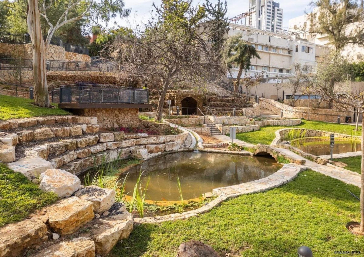 צילום: אביב קורט