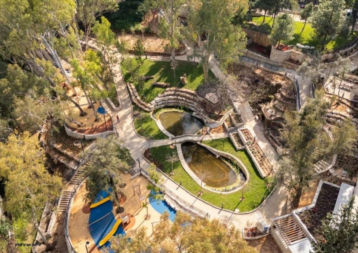 צילום: אביב קורט