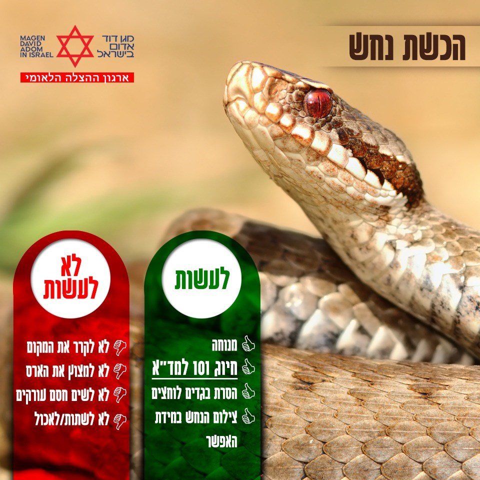 באדיבות דוברות מד"א