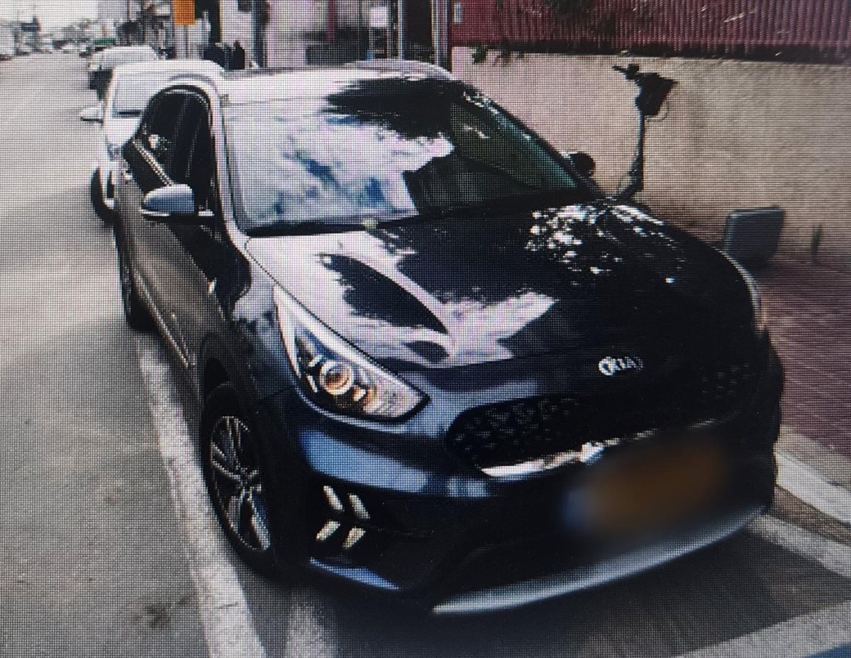 צילום: דוברות המשטרה