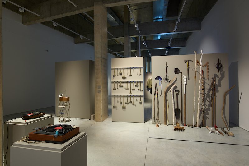 צילום: יובל חי