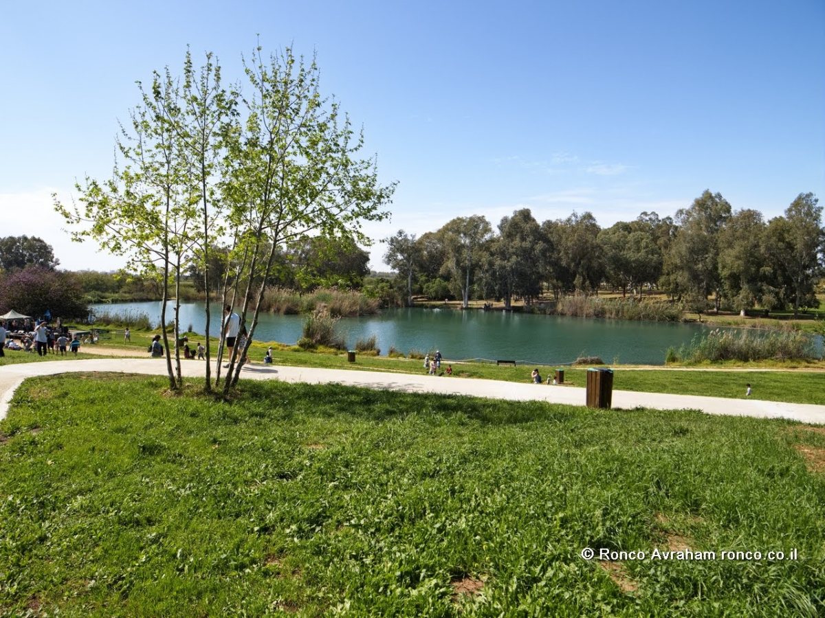 צילום: אברהם רנקו