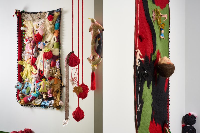 צילום: יובל חי