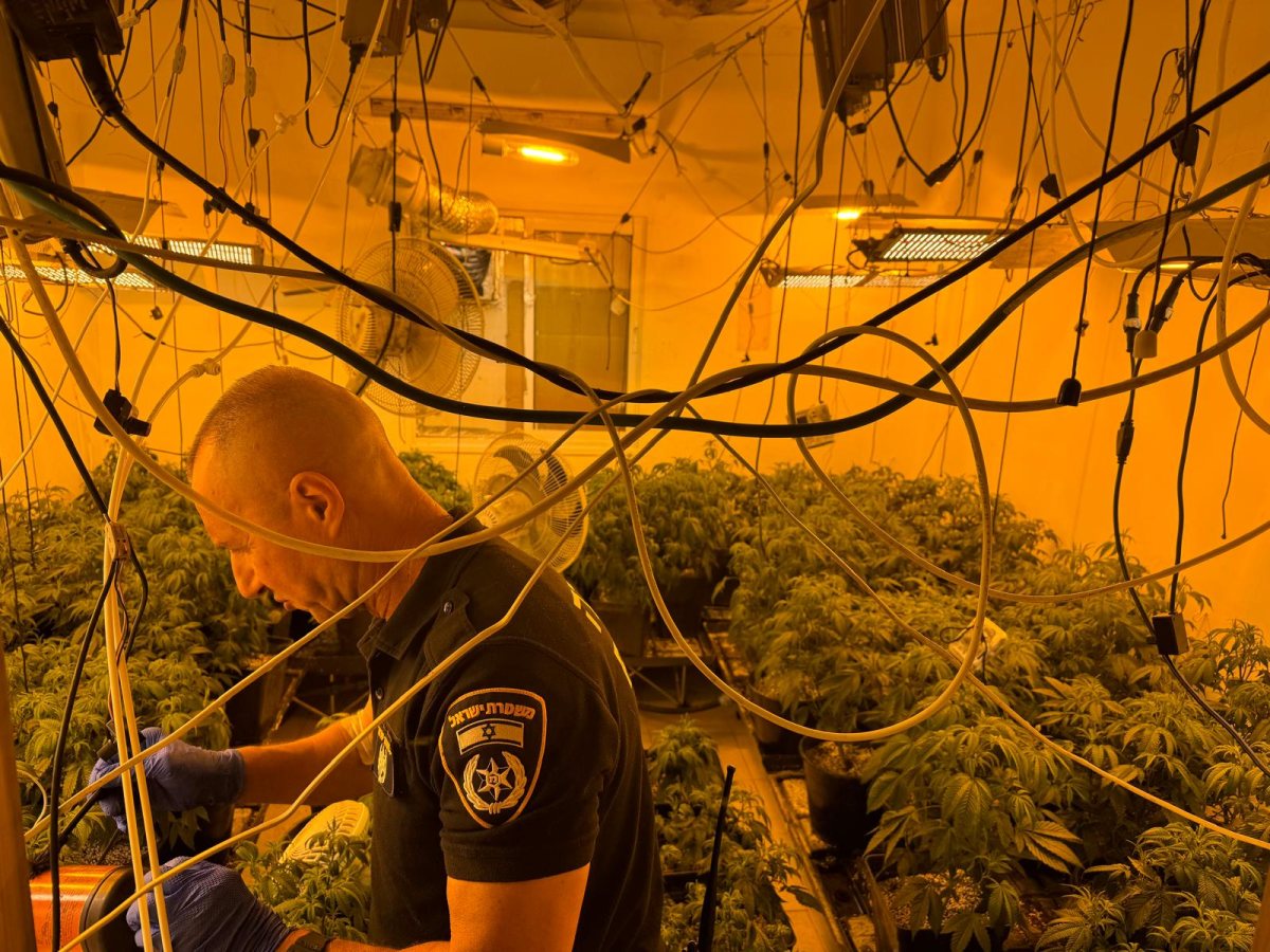 צילום: דוברות המשטרה