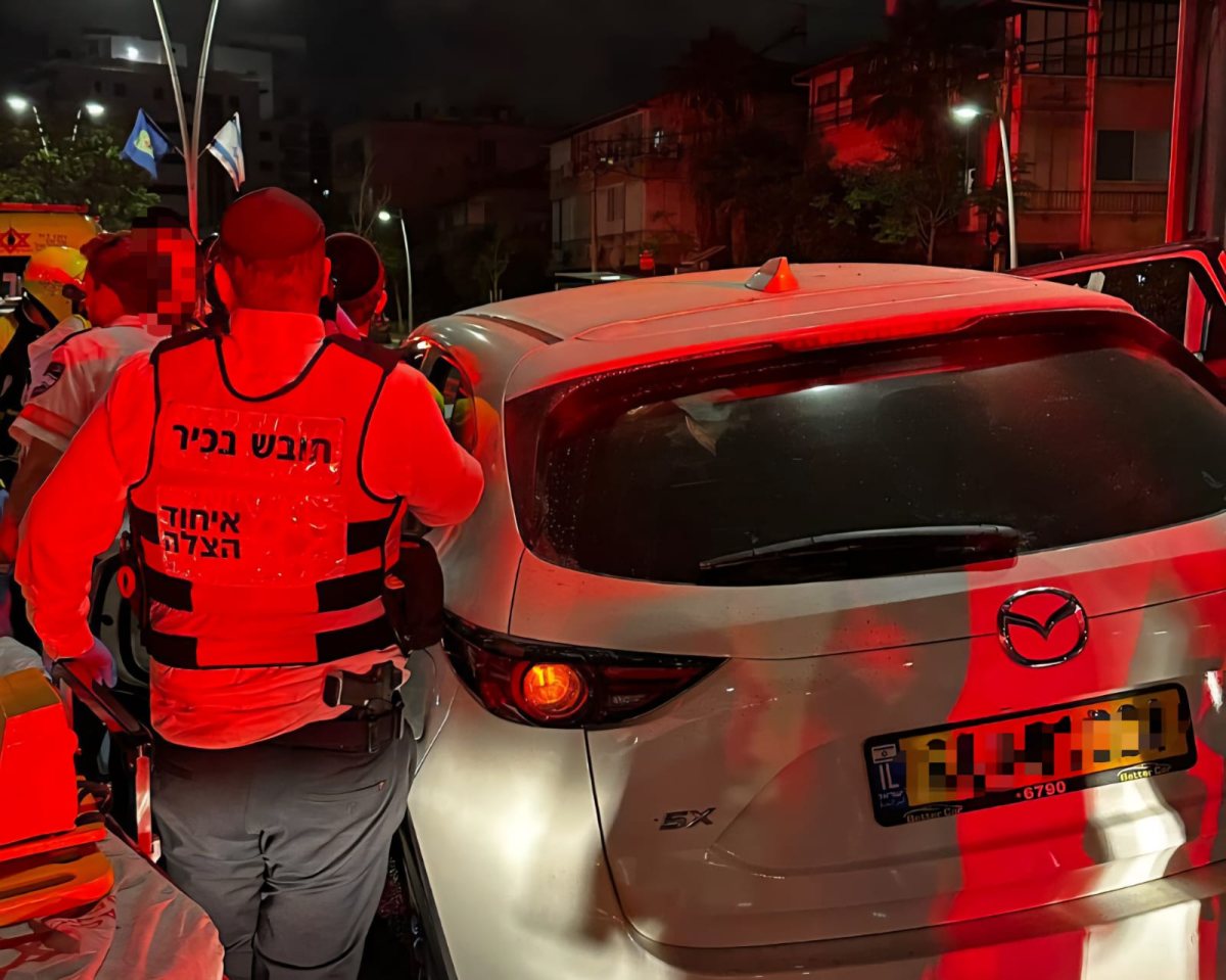 צילום: איחוד הצלה און ליין