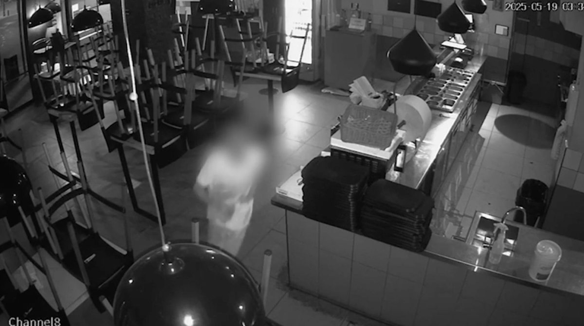 צילום: דוברות המשטרה