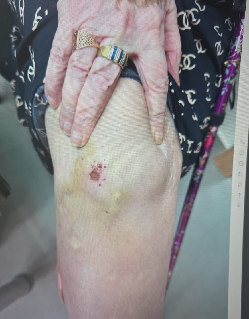 צילום: דוברות המשטרה