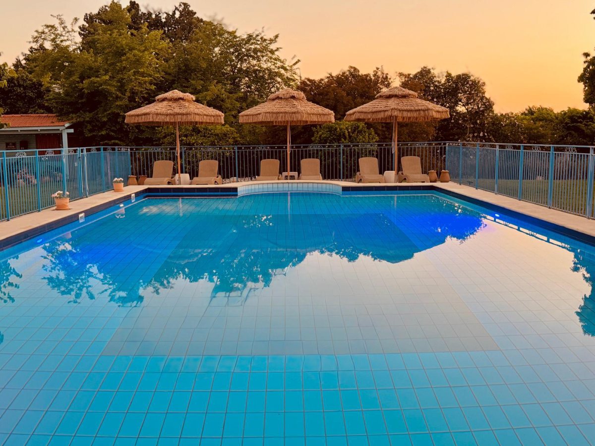 צילום: מערכת רמת גן נט