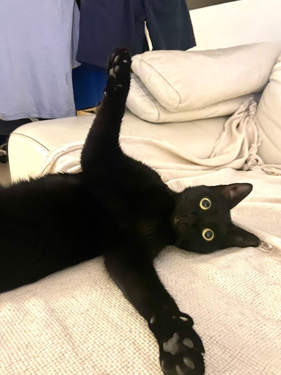 צילום: יח״צ