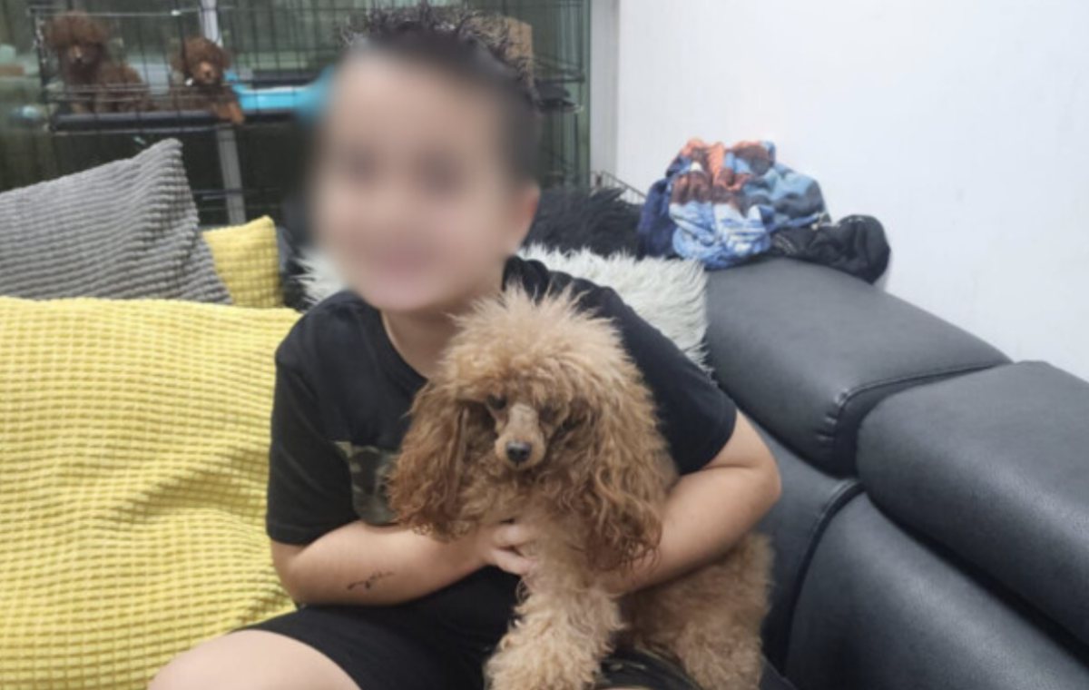 צילום באדיבות המשפחה