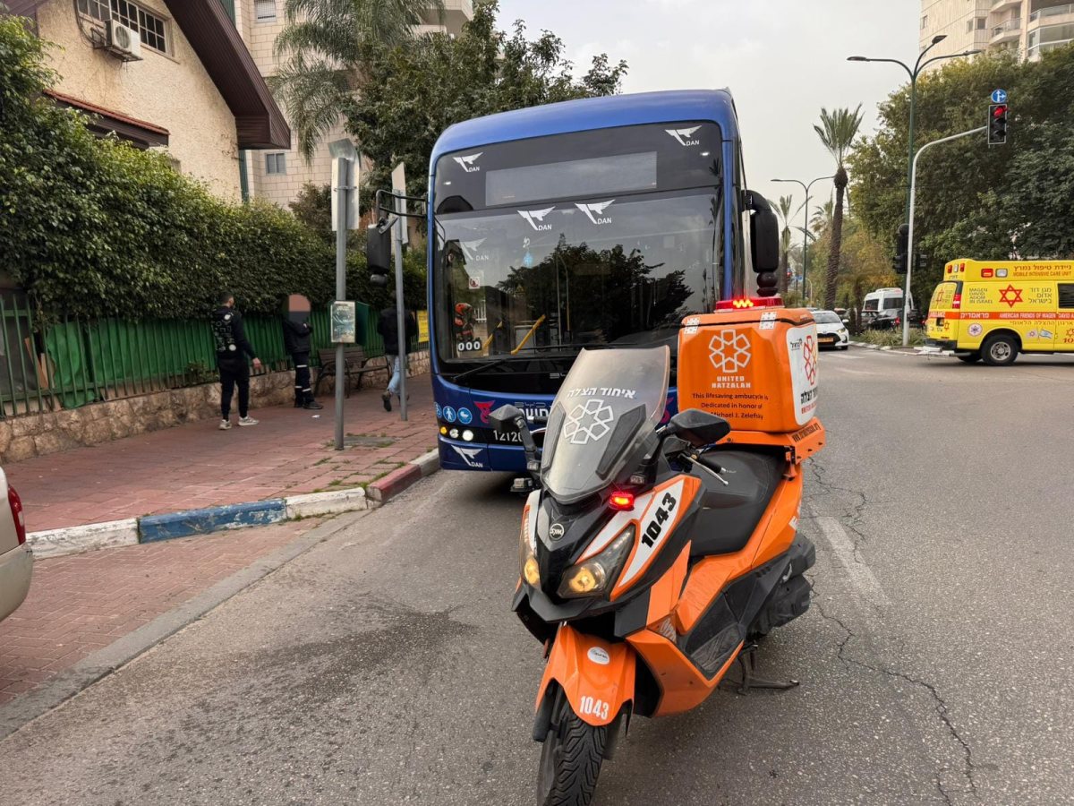 צילום: איחוד הצלה און ליין
