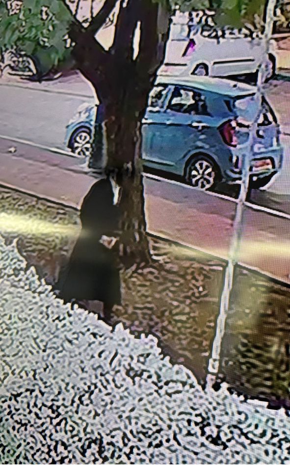 צילום: רשתות חברתיות 