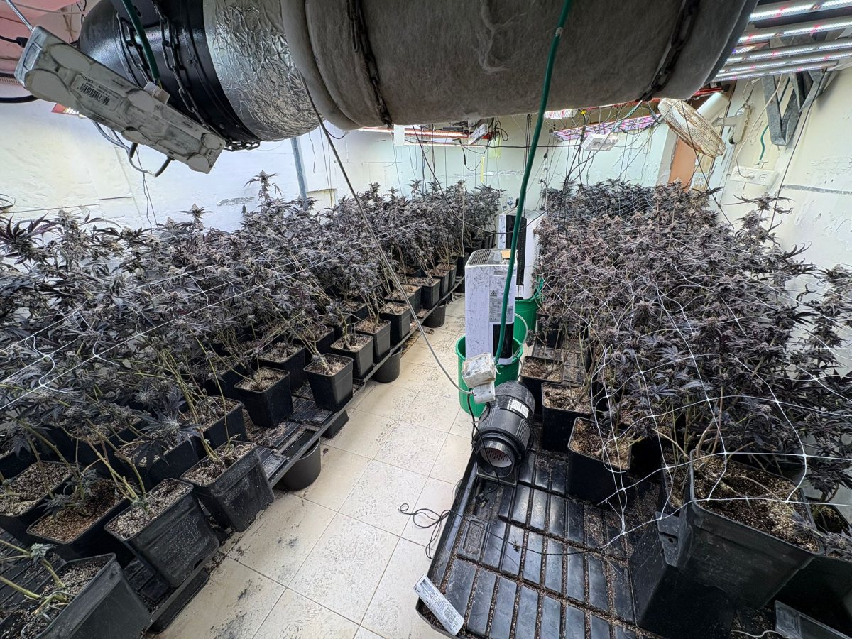 צילום: דוברות המשטרה