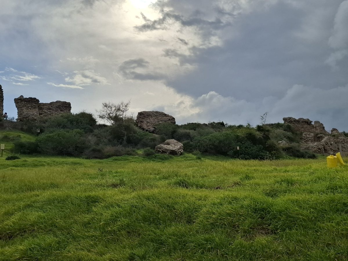 הגן הלאומי תל אשקלון צילום אדר סטולרו מליחי, רשות הטבע והגנים