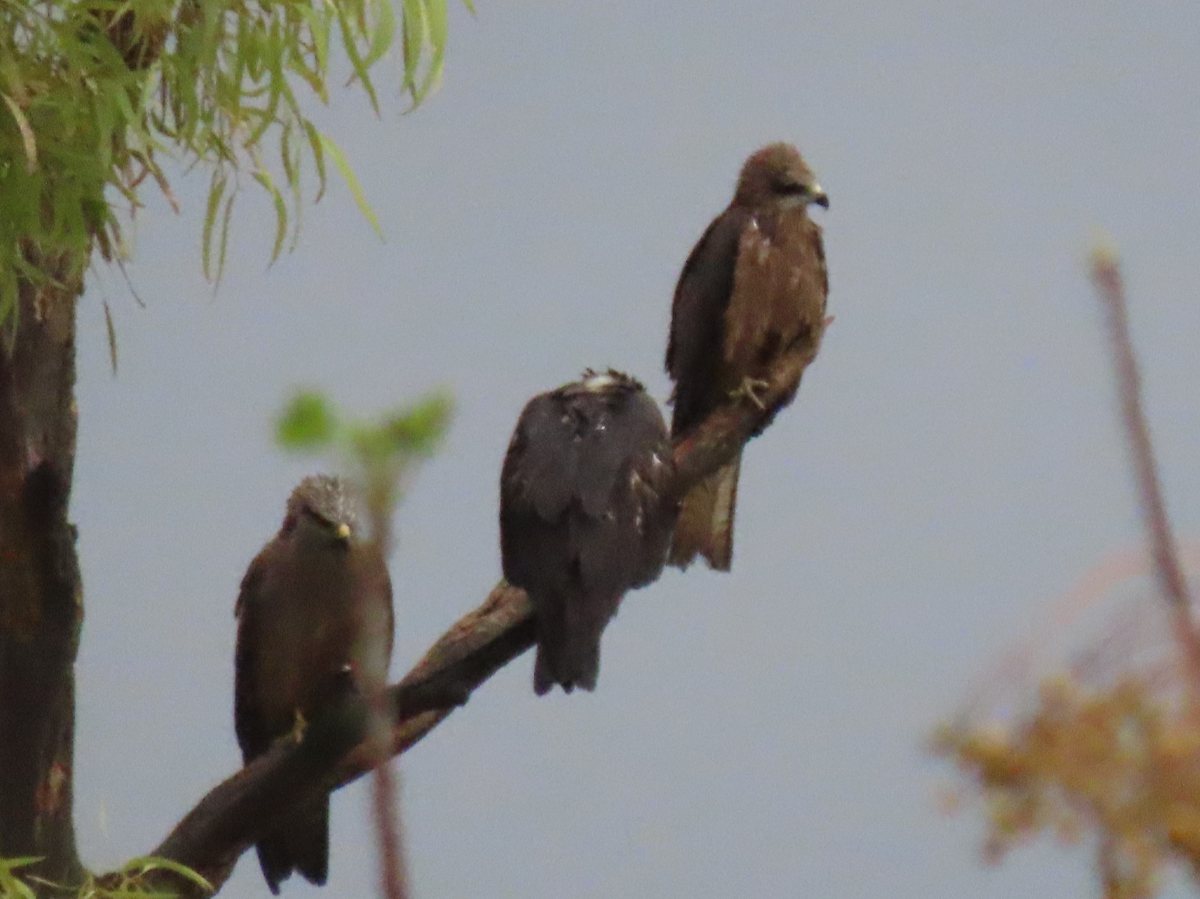 צילום: רשות הטבע והגנים