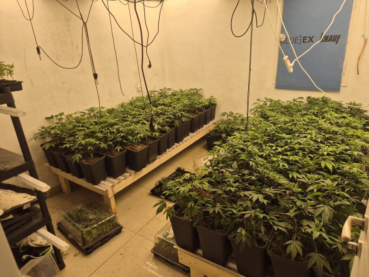 צילום: דוברות המשטרה