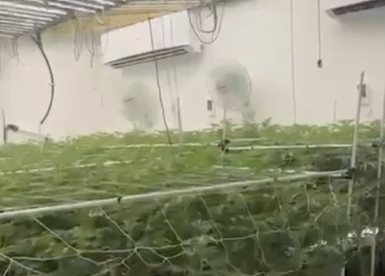 צילום: דוברות המשטרה