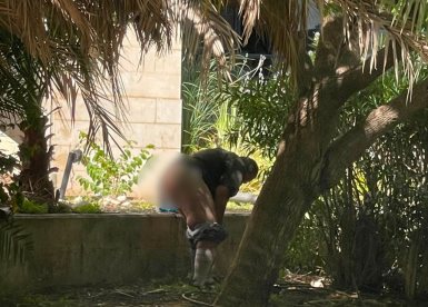 צילום: פרטי