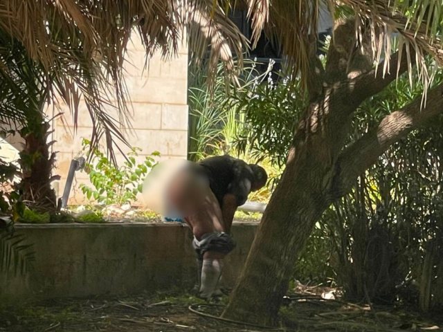 צילום: פרטי