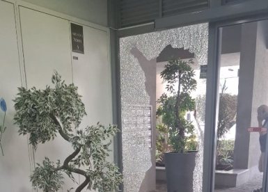 צילום: פרטי