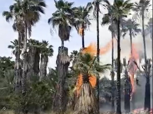 צילום: כבאות והצלה לישראל