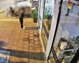 צילום: דוברות המשטרה