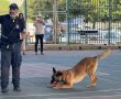 מפגש מיוחד בין תלמידי בית הספר "אילן רמון" למשטרת ישראל: לומדים על ביטחון בדרך חווייתית