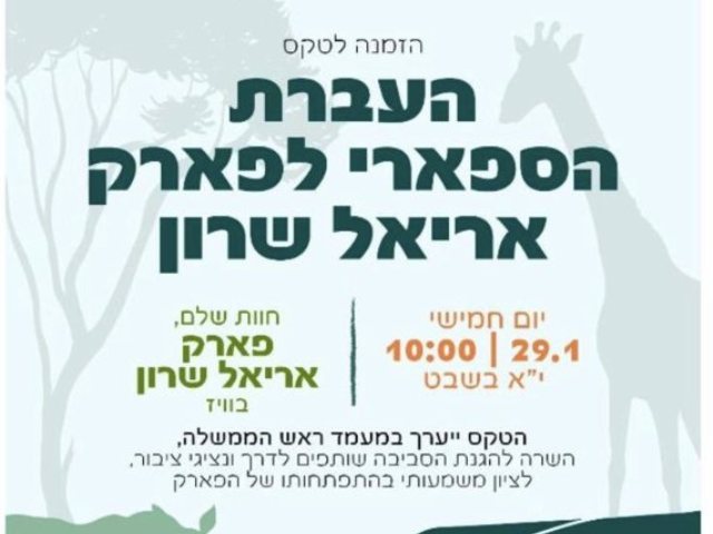 צילום: פרטי