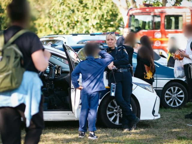 צילום: דוברות המשטרה