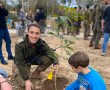 כסף על העצים: המשרד להגנ"ס ביוזמה להגדלת מספר העצים ברשויות