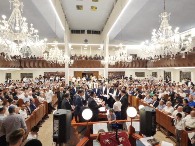 צילום: אלעזר פיינשטיין