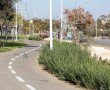 מהפכה במרחב העירוני: משרד התחבורה מקדם מעבר להליכה, רכיבה ומיקרו-מוביליטי