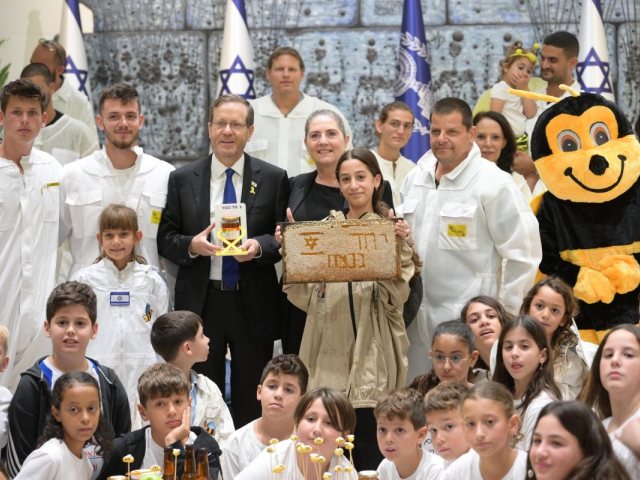צילום: עמוס בן גרשום/לע״מ
