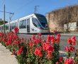 השבוע המסויט של הירושלמים: הרכבת הקלה תושבת חלקית מדי ערב
