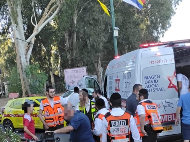 צילום: איחוד הצלה און ליין