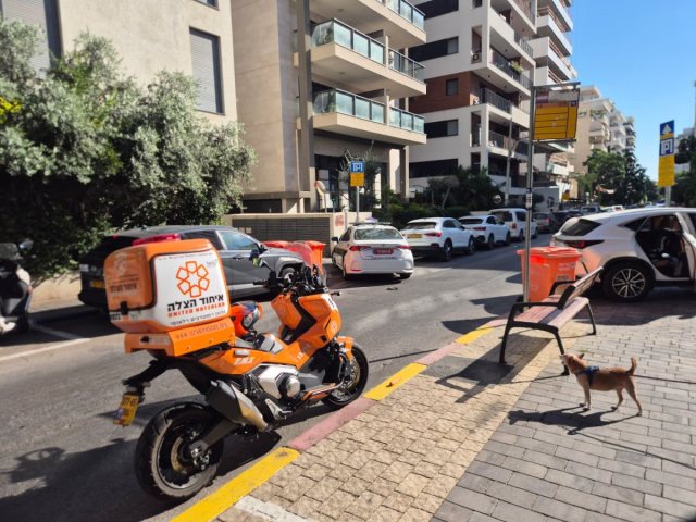 צילום: איחוד הצלה און ליין