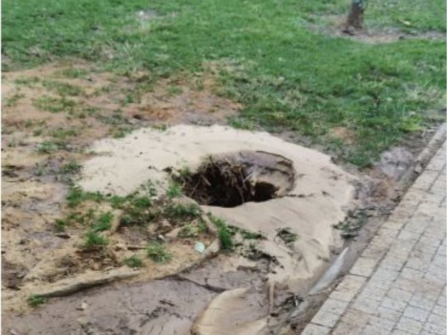 צילום מרשתות חברתיות