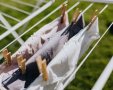  PEXELS