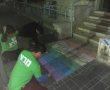 בעקבות דבריו של הרב עמאר תלו פעילי מרצ דגל גאווה בכניסה למשרדו